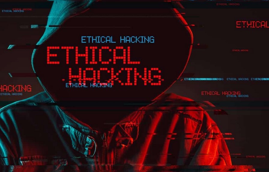 10 Best Programming Languages For Ethical Hacking in 2022