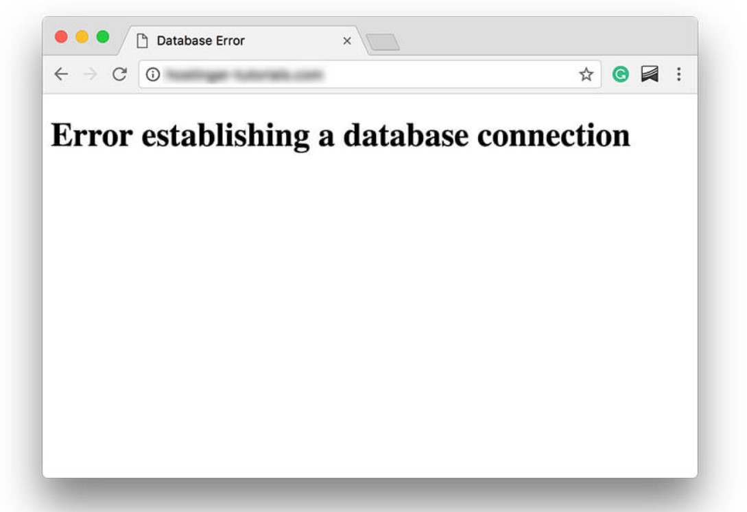 How to fix the Error Establishing a Database Connection in WordPress?