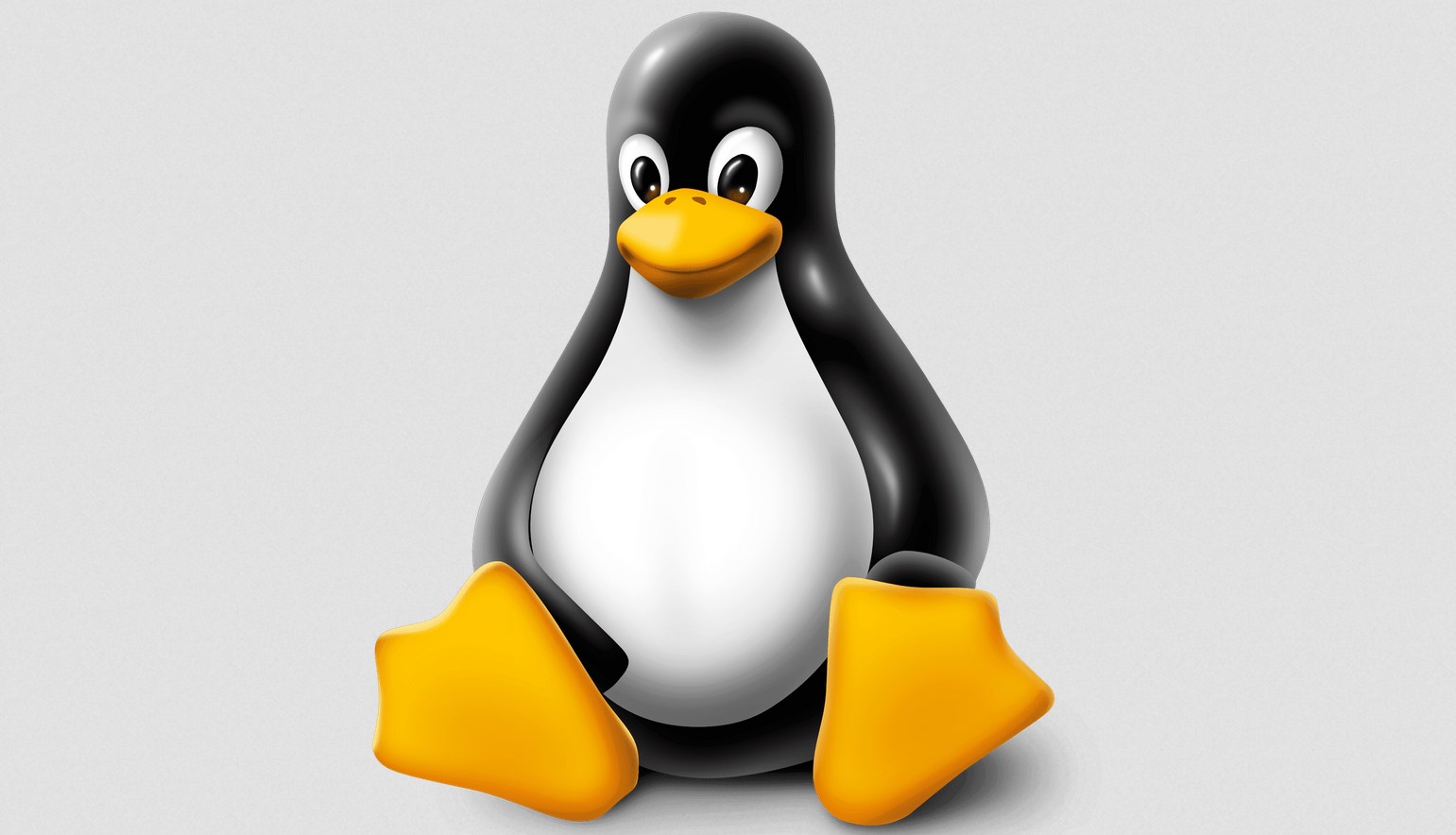 10 Best Linux Command for Beginners to Learn in 2022