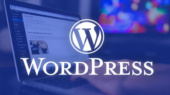 15 Most Important Things You Need to Do After Installing WordPress