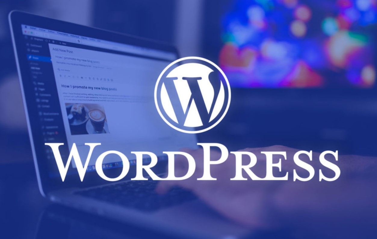 15 Most Important Things You Need to Do After Installing WordPress