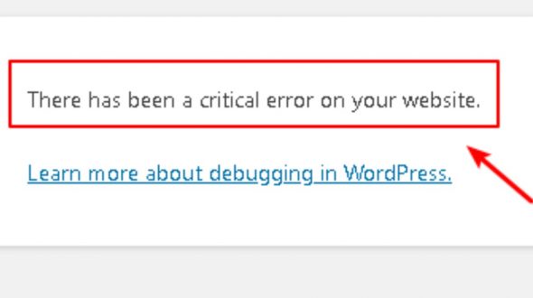 How to Fix the WordPress Critical Error in Website