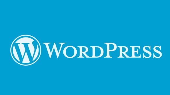 How to Become Proficient in WordPress: A Comprehensive Guide